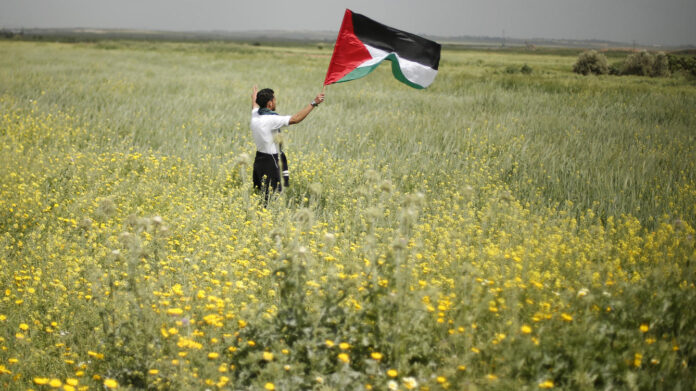 Gaza Palestina