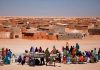 Sahara Occidental: ¿regreso a las armas? Sahara
