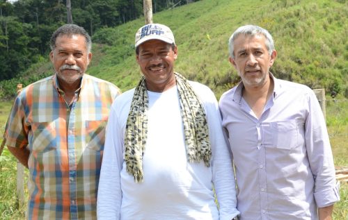 Desmovilización de las FARC