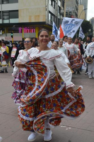 marcha-reformas-carnaval-15